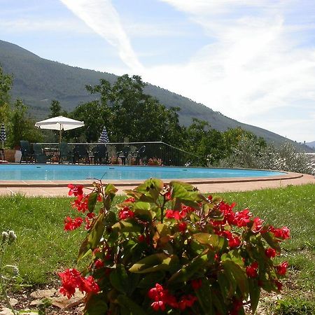 טרווי Agriturismo I Mandorli מראה חיצוני תמונה