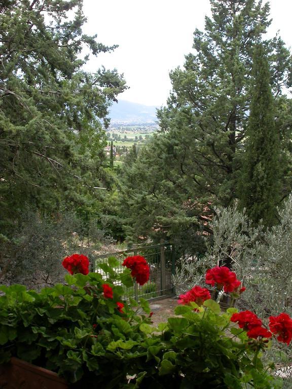 טרווי Agriturismo I Mandorli מראה חיצוני תמונה